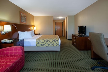 Room, 1 King Bed, Non Smoking, Microwave