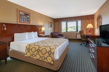 Room, 1 Queen Bed, Non Smoking, Microwave