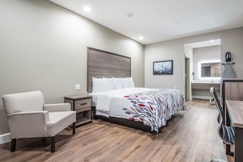 Superior Room, 1 King Bed, Accessible, Non Smoking