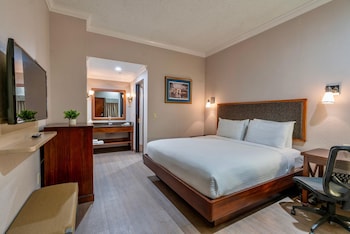 Room, 1 King Bed, Non Smoking