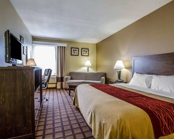 Standard Room, 1 King Bed, Non Smoking