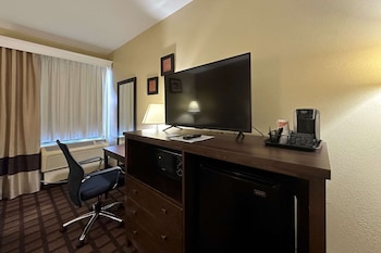 Room, 1 King Bed, Non Smoking