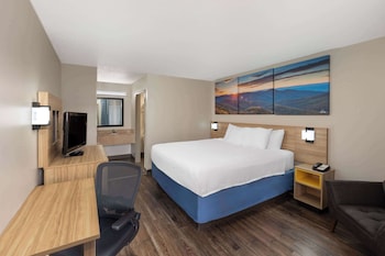 Room, 1 King Bed, Smoking