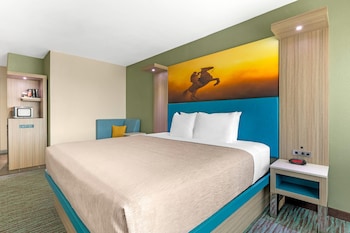Room, 1 King Bed, Accessible, Non Smoking