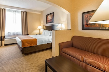Suite, 1 King Bed, Non Smoking