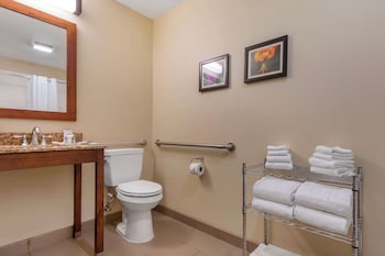 Suite, 1 King Bed with Sofa bed, Accessible, Non Smoking