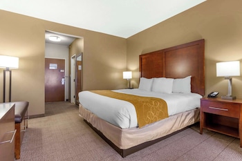 Suite, 1 King Bed with Sofa bed