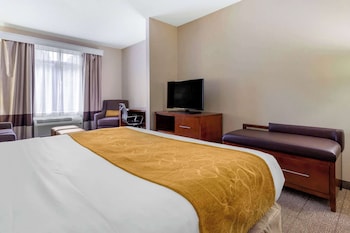 Suite, 1 King Bed with Sofa bed