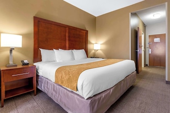 Suite, 1 King Bed with Sofa bed, Accessible, Non Smoking