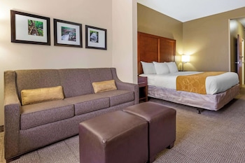 Suite, 1 King Bed with Sofa bed, Accessible, Non Smoking