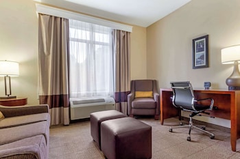 Suite, 1 King Bed with Sofa bed