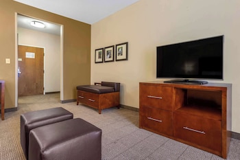 Suite, 1 King Bed with Sofa bed, Non Smoking (Upgrade)
