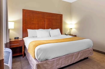 Suite, 1 King Bed with Sofa bed, Non Smoking (Upgrade)
