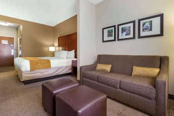 Suite, 1 King Bed with Sofa bed