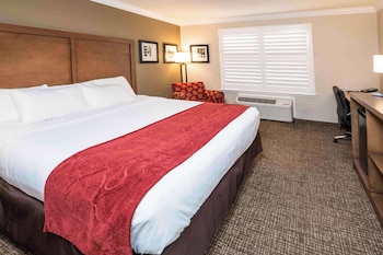 Room, 1 King Bed, Accessible, Non Smoking
