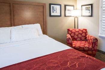 Room, 1 King Bed, Accessible, Non Smoking