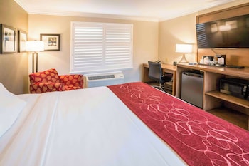 Room, 1 King Bed, Accessible, Non Smoking