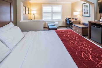 Suite, 1 King Bed with Sofa bed