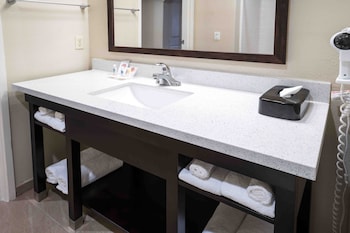 Suite, 1 King Bed with Sofa bed