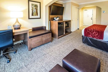 Suite, 1 King Bed with Sofa bed