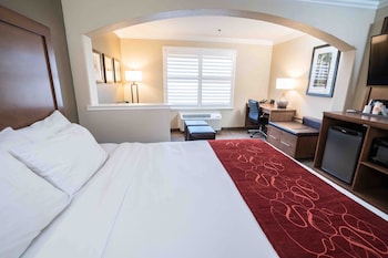 Room, 1 King Bed, Accessible, Non Smoking