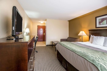 Standard Room, 1 King Bed with Sofa bed, Non Smoking