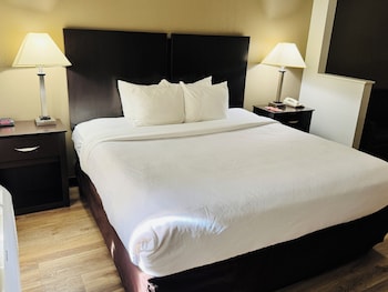 Standard Room, 1 King Bed with Sofa bed, Non Smoking