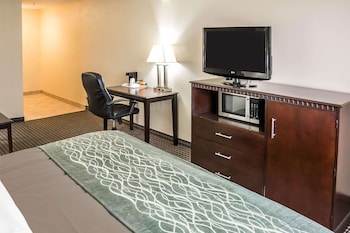 Standard Room, 1 King Bed with Sofa bed, Non Smoking