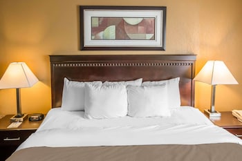Standard Room, 1 King Bed with Sofa bed, Non Smoking