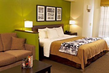 Suite, 1 King Bed with Sofa bed, Non Smoking