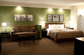 Suite, 1 King Bed with Sofa bed, Non Smoking, Hot Tub