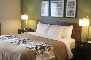 Standard Room, 1 King Bed, Non Smoking