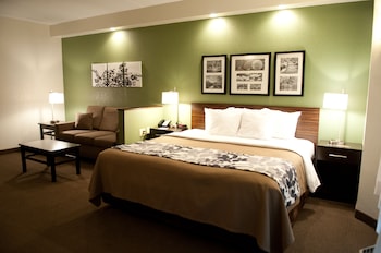 Suite, 1 King Bed with Sofa bed, Non Smoking, Hot Tub