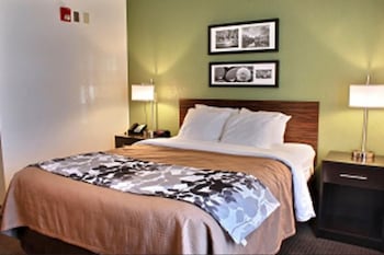 Room, 1 Queen Bed, Accessible, Non Smoking