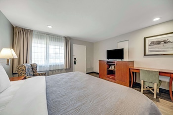 Standard Room, 1 King Bed, Non Smoking, Patio