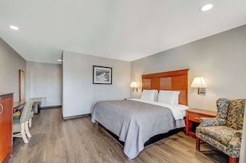Standard Room, 1 King Bed, Non Smoking, Patio