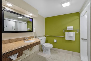 Room, 1 Double Bed, Accessible, Non Smoking (Roll-In Shower)