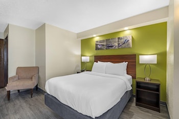 Room, 1 Double Bed, Accessible, Non Smoking
