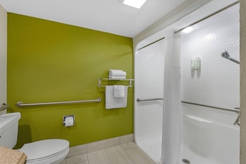 Room, 1 Double Bed, Accessible, Non Smoking (Roll-In Shower)