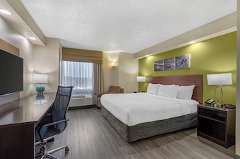 Standard Room, 1 King Bed, Non Smoking