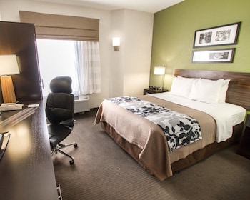 Standard Room, 1 King Bed, Non Smoking