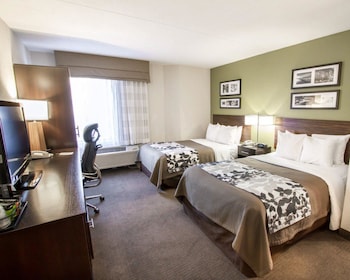 Standard Double Room, 2 Double Beds, Non Smoking