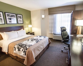 Standard Room, 1 King Bed, Non Smoking