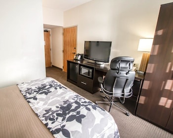 Standard Double Room, 2 Double Beds, Non Smoking