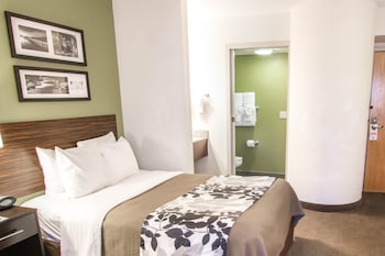 Standard Queen Room, 1 Queen Bed, Accessible,Mobility Hearing, Non Smoking