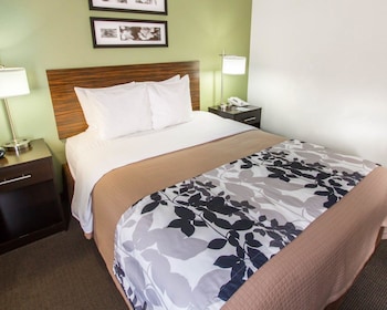 Standard Double Room, 2 Double Beds, Non Smoking