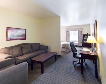 Suite, 1 King Bed with Sofa bed, Non Smoking