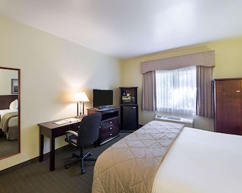 Standard Room, 1 King Bed, Non Smoking