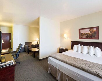Suite, 1 King Bed with Sofa bed, Non Smoking, Microwave
