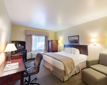Standard Room, 1 King Bed, Non Smoking